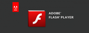 How to unblock Adobe Flash Player content in Google Chrome | Digital ...