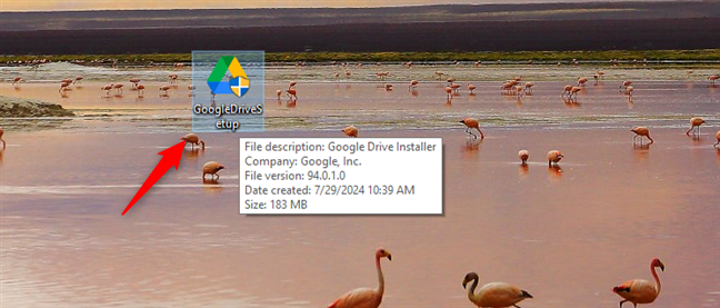 The GoogleDriveSetup.exe installer file