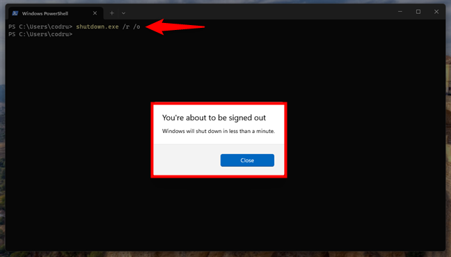 Windows 11 informs you that it will shut down