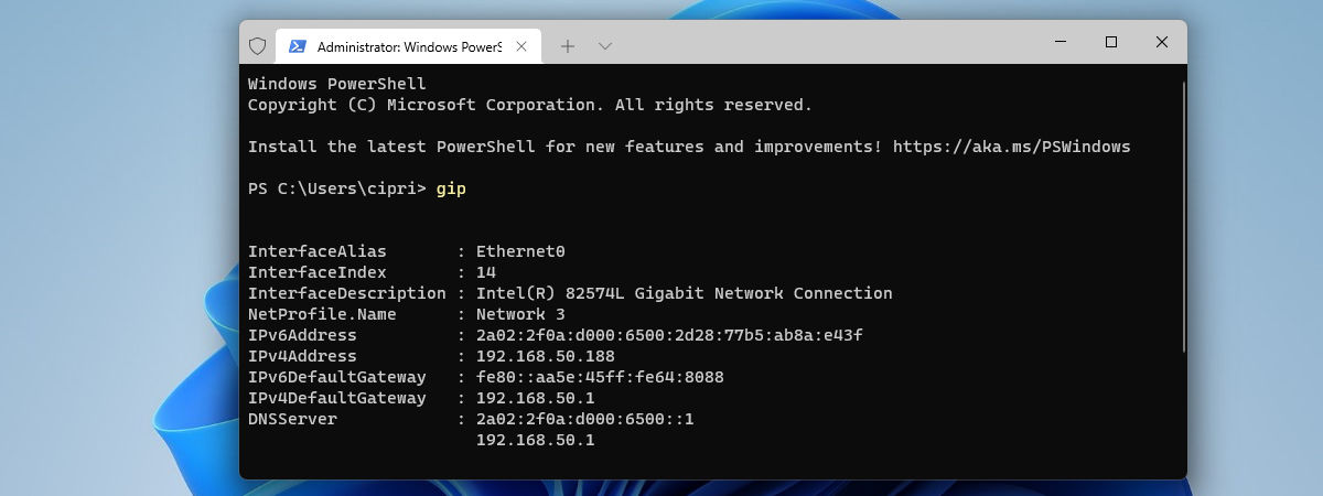 How to change the IP address in Windows 10 and Windows 11 (4 ways)