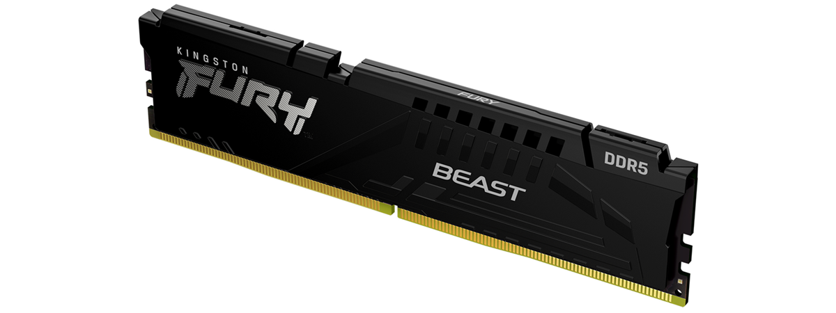 Kingston Fury Beast DDR5-6000 32GB review: It's super fast!