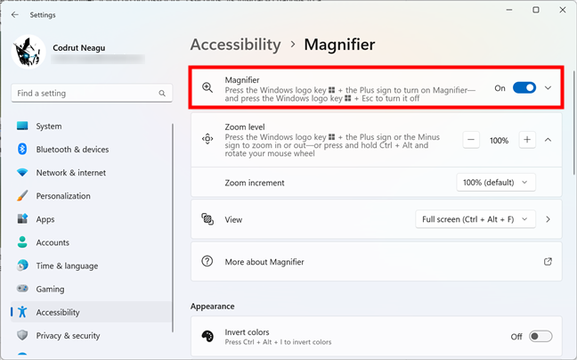 Change Magnifier View in Windows 10