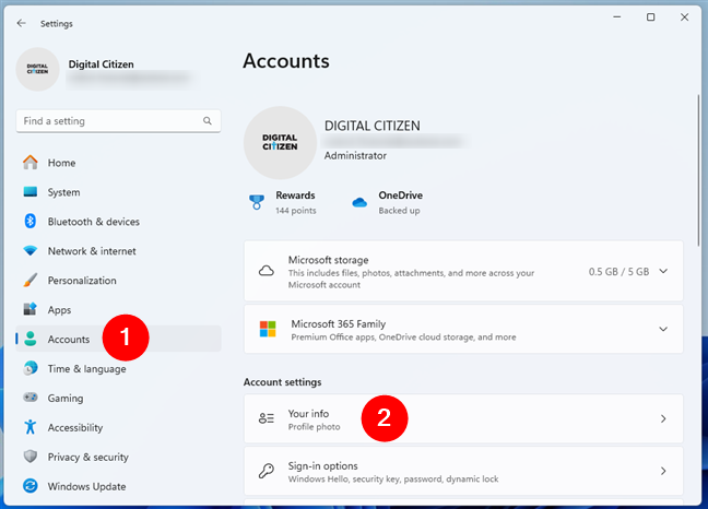 Open Settings and access Your info in the Accounts section