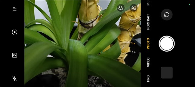 The Camera app on the OPPO Reno11 F