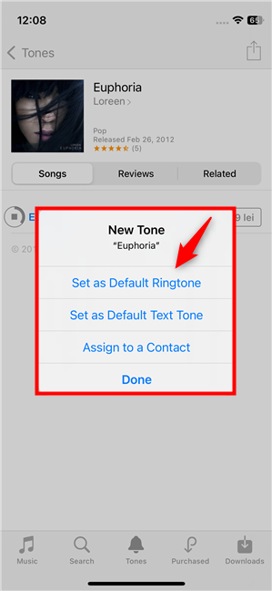 Choose how to set the custom ringtone on your iPhone