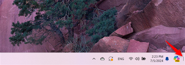 The Show desktop button on the right of the Windows 11 taskbar