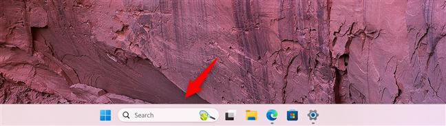 The Search box on Windows 11's taskbar