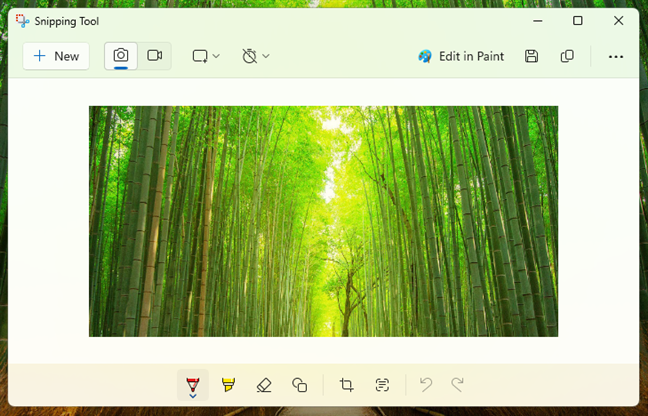A screenshot in Windows 11's Snipping Tool
