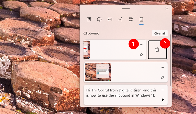 How to delete an item in the clipboard