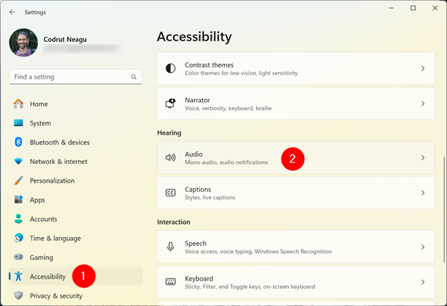 Open Windows 11's Settings and go to Accessibility > Audio