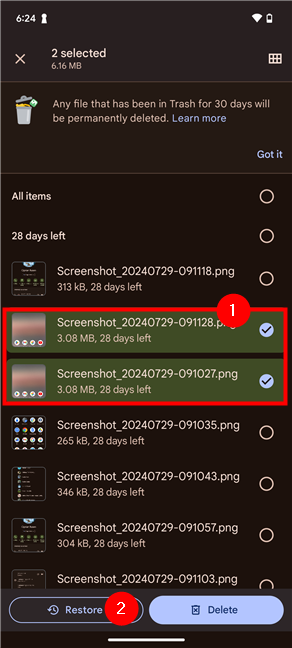 Select the files to recover and press Restore