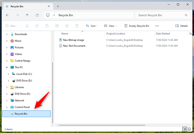 Recycle Bin in File Explorer's list of folders on Windows 11