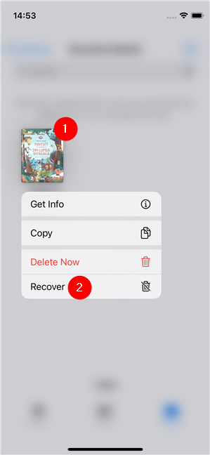 How to recover a file on an iPhone