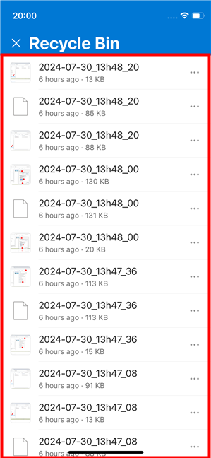 The list of deleted files in OneDrive's Recycle Bin