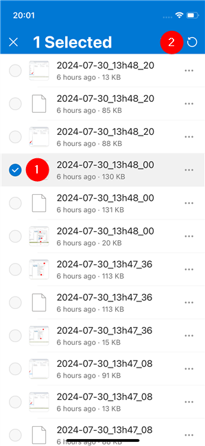 Restore deleted files from the OneDrive app for iPhone