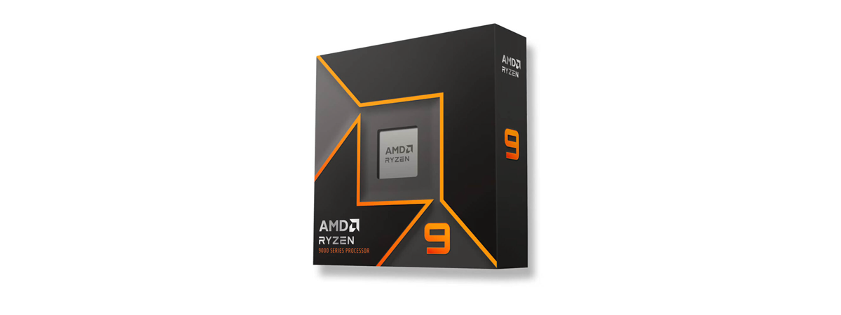 AMD Ryzen 9 9900X