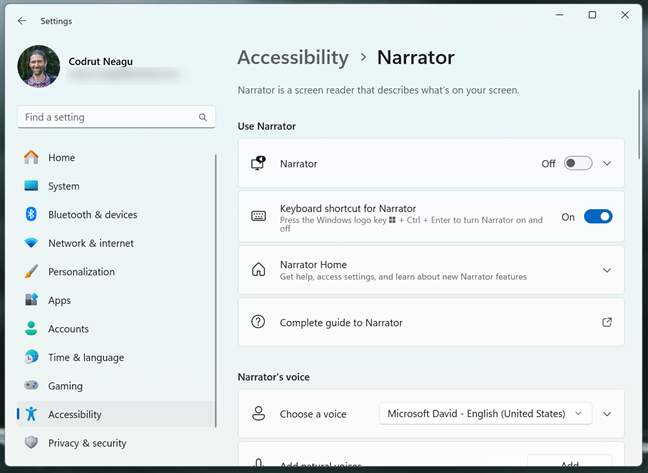 The Narrator Settings in Windows 11