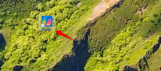 A Copilot shortcut on Windows 11's desktop