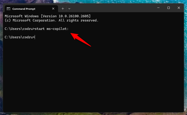 How to launch Copilot from CMD in Windows 11