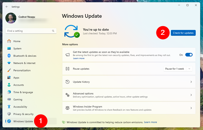 Check for updates in Windows 11