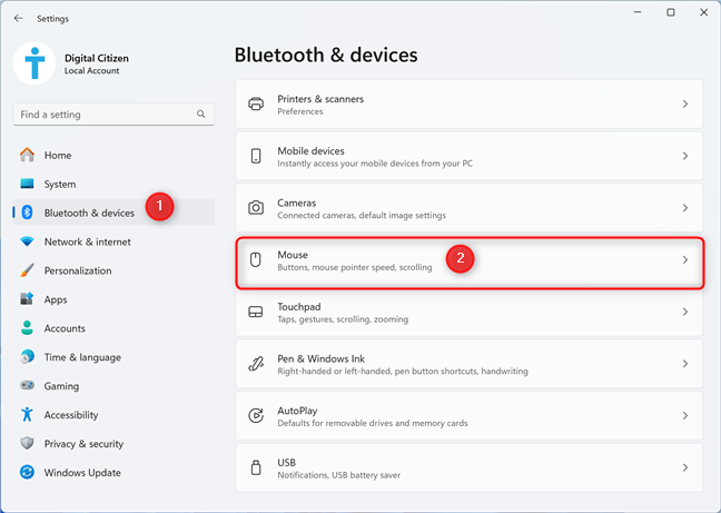 In Windows 11 Settings, access Bluetooth & devices > Mouse